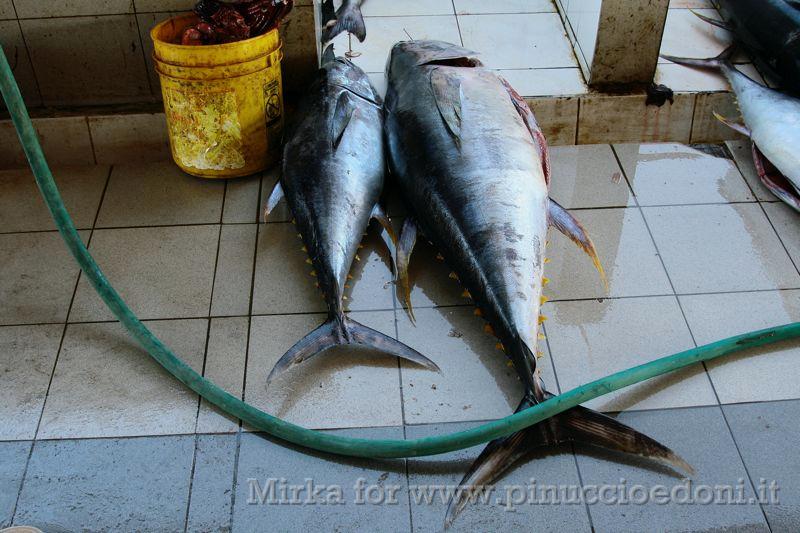 IMG_3492 tonni al mercato del pesce, Al-Mukalla.jpg